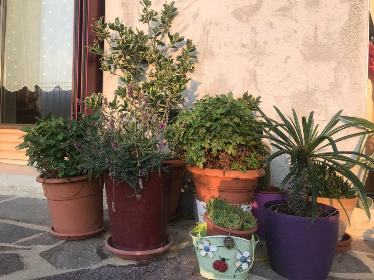 Puffele B&B Енего Екстериор снимка